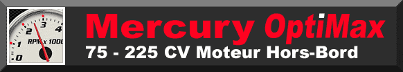 Consommation Moteur hors bord Mercury Optimax Consommation Moteur hors bord Mercury Optimax