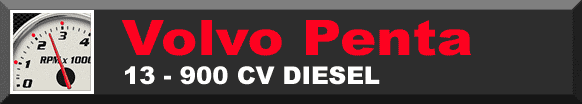 Consumi motori entrobordo Volvo Penta Diesel