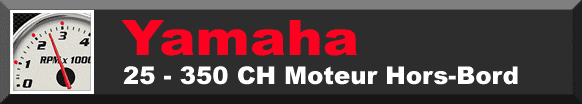 Consommation Moteur hors bord Yamaha